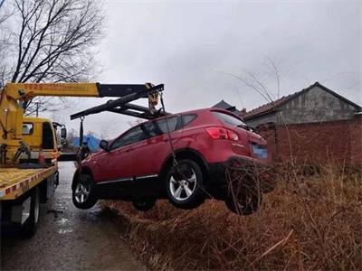 安岳楚雄道路救援